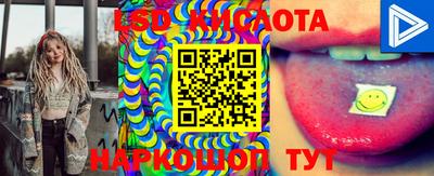 spice Заводоуковск