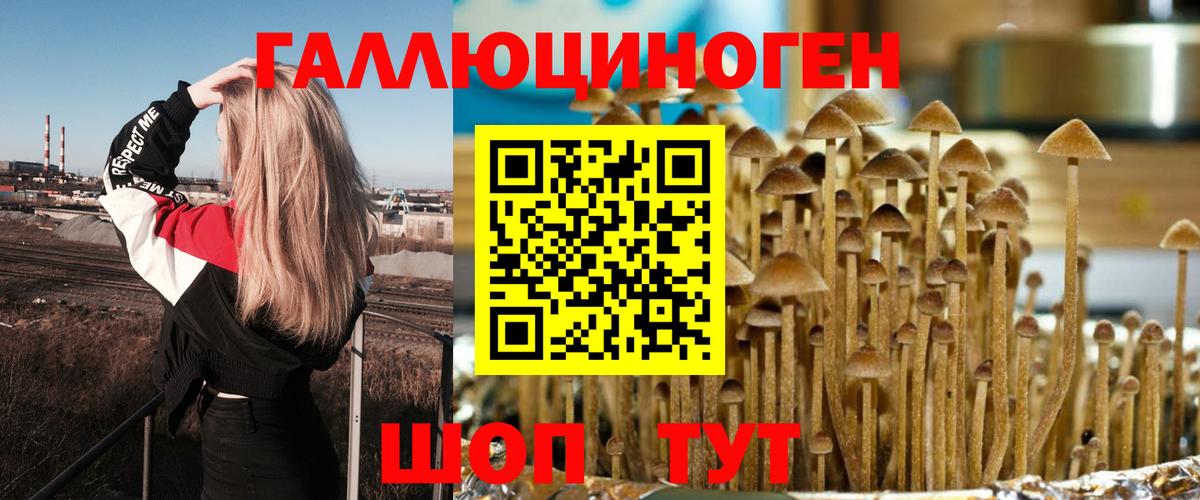 Псилоцибиновые грибы GOLDEN TEACHER Темрюк