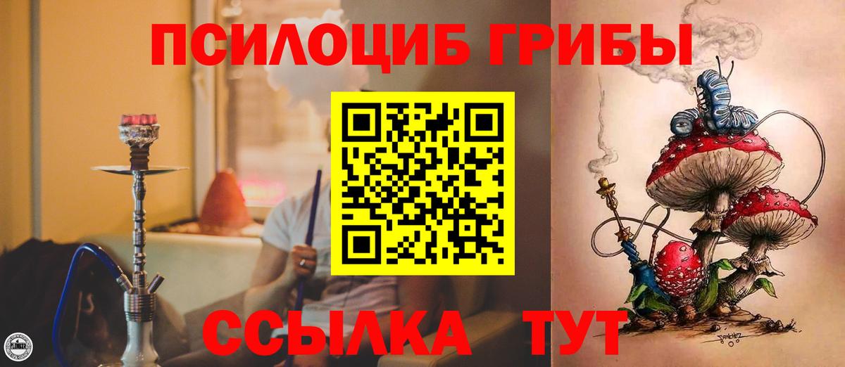 Темрюк  Псилоцибиновые грибы мухоморы  Псилоцибиновые грибы Psilocybine cubensis  Вход с VPN 